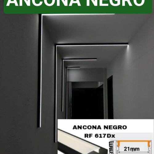 Anaconda negro