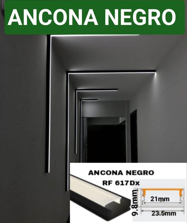 Anaconda negro